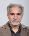 Seyed Mohammad Rastgoofar